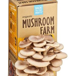 MUSHROOM KITS