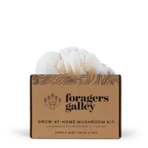 Lion's Mane Mushroom Kit
